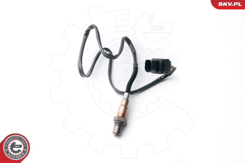 Oxygen Sensor